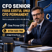 CFO Fractional companii CA 5–20 mil. EUR, Director Financiar externalizat.